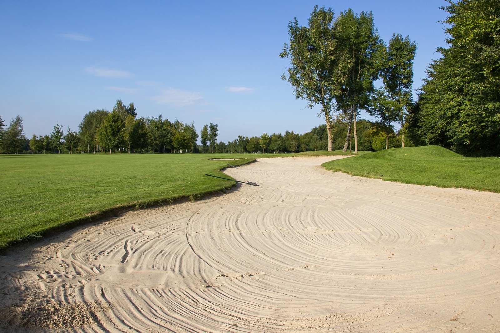 Mehr über den Artikel erfahren 50 Jahre Westfälische Golfsenioren