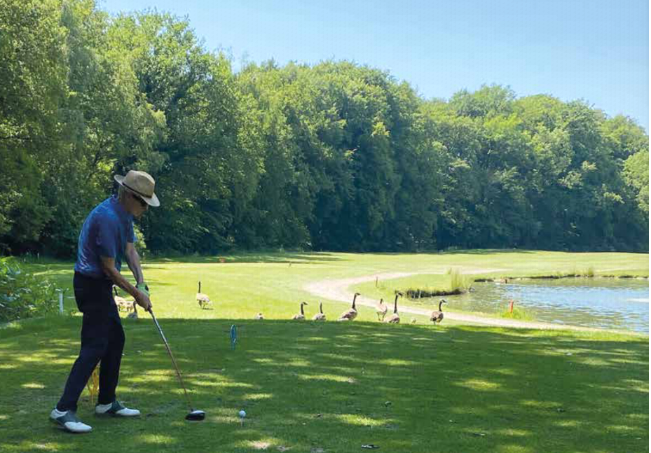 Mehr über den Artikel erfahren Golfclub Osnabrück-Dütetal